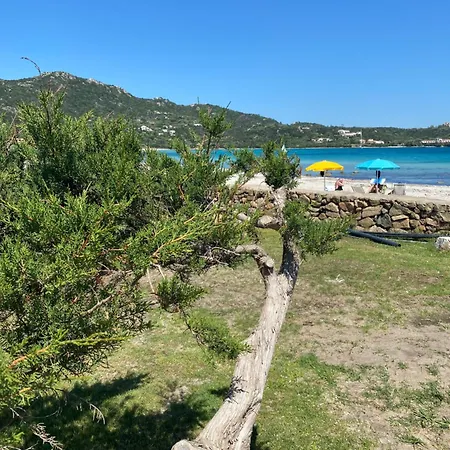Guest house Cala Reale 3*